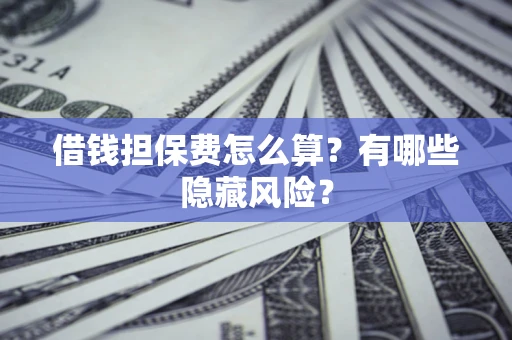武汉借钱担保费怎么算？有哪些隐藏风险？