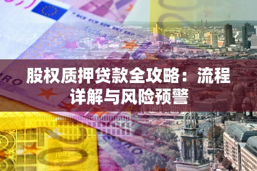 武汉股权质押贷款全攻略：流程详解与风险预警