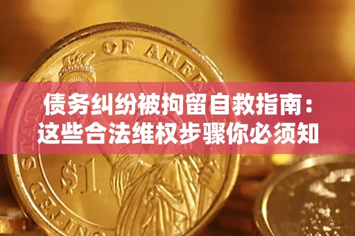 武汉债务纠纷被拘留自救指南：这些合法维权步骤你必须知道！