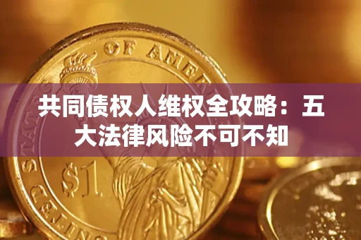 武汉共同债权人维权全攻略：五大法律风险不可不知