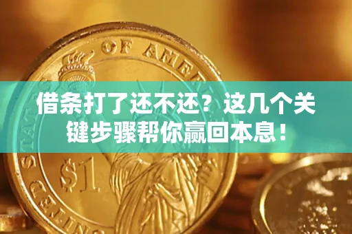 武汉借条打了还不还？这几个关键步骤帮你赢回本息！