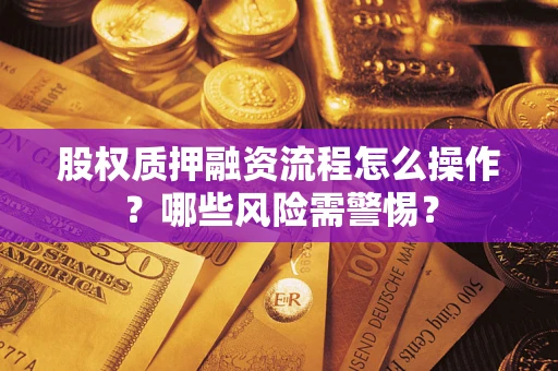 武汉股权质押融资流程怎么操作？哪些风险需警惕？