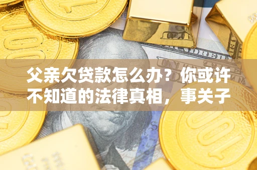 武汉父亲欠贷款怎么办？你或许不知道的法律真相，事关子女未来