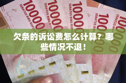 武汉欠条的诉讼费怎么计算？哪些情况不退！