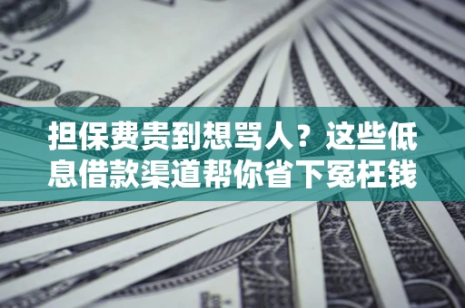 武汉担保费贵到想骂人？这些低息借款渠道帮你省下冤枉钱