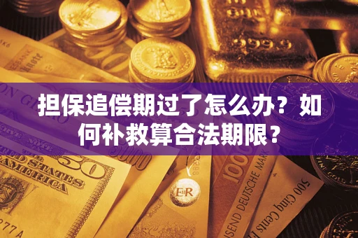 武汉担保追偿期过了怎么办？如何补救算合法期限？
