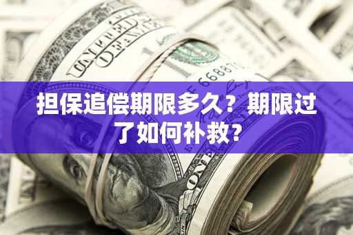 武汉担保追偿期限多久？期限过了如何补救？