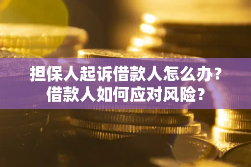 武汉担保人起诉借款人怎么办？借款人如何应对风险？