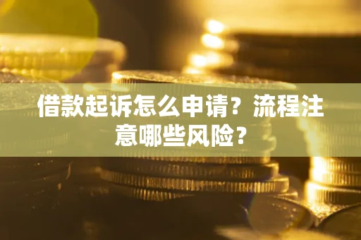 武汉借款起诉怎么申请？流程注意哪些风险？