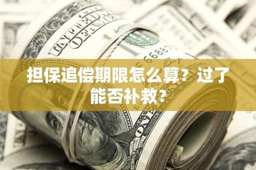 武汉担保追偿期限怎么算？过了能否补救？